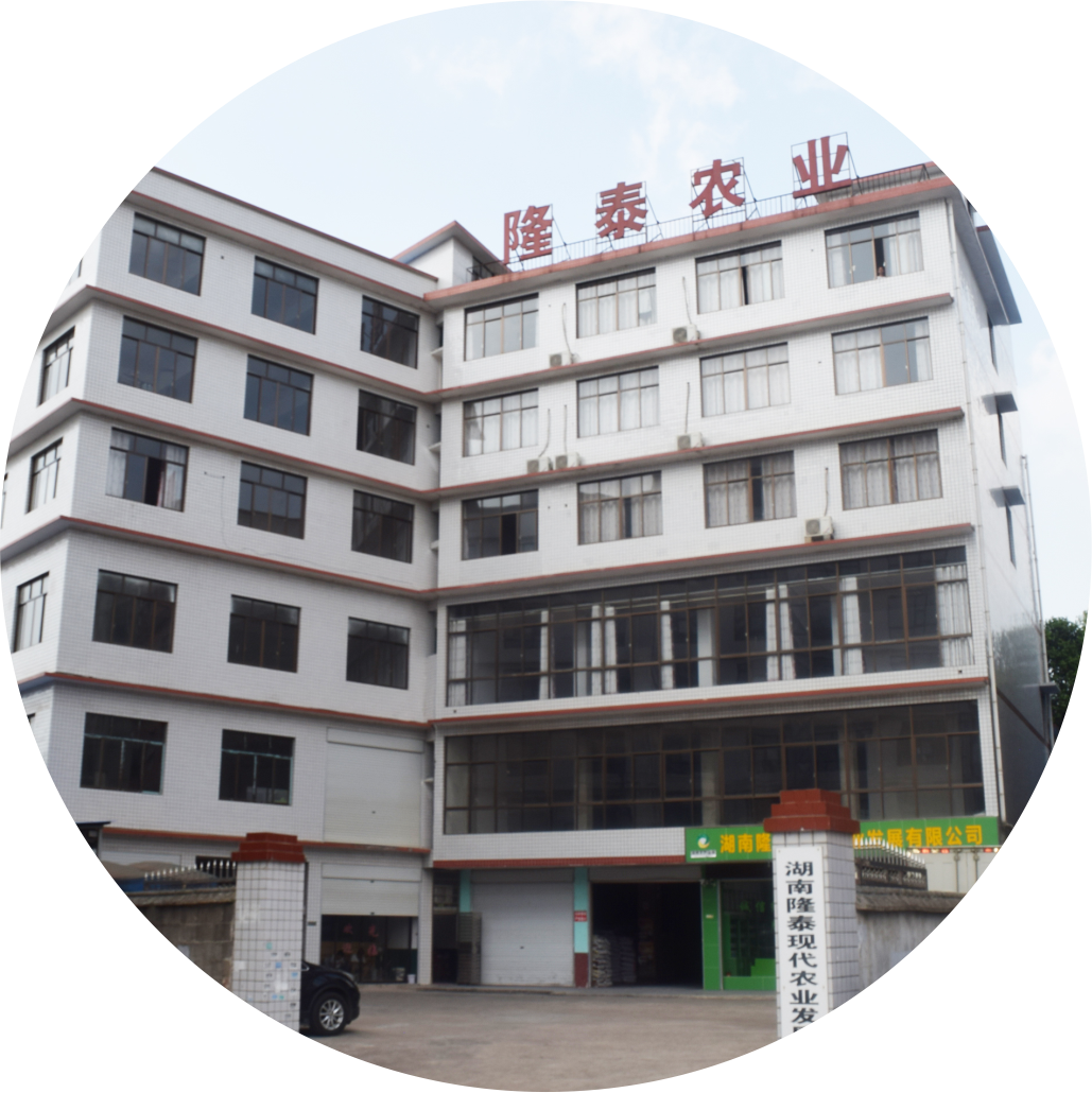 20180919 公司大楼